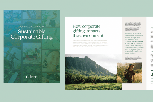 4-08-25  Inspiration  Eco-Friendly Corporate Gifting Why Sustainable Choices Matter for Modern Businesses_3