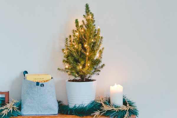 2Cultivate_Habits for your best holiday yet_Revised Image_
